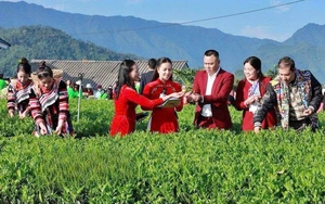 Th&aacute;i Nguy&ecirc;n kh&aacute;nh th&agrave;nh v&agrave; khởi c&ocirc;ng 3 c&ocirc;ng tr&igrave;nh, dự &aacute;n quy m&ocirc; lớn  - Ảnh 9.