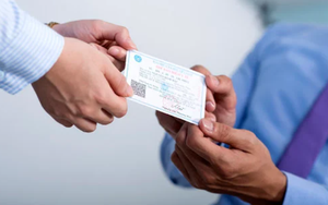 C&ocirc;ng vi&ecirc;n xanh cũng tiềm ẩn mầm bệnh ung thư, v&igrave; đ&acirc;u? - Ảnh 4.