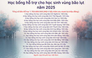 Quỹ Khuyến học Việt Nam c&ugrave;ng nh&agrave; t&agrave;i trợ trao học bổng Nguyễn Trường Tộ cho sinh vi&ecirc;n ti&ecirc;u biểu - Ảnh 16.