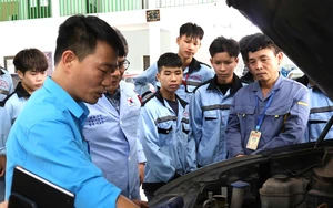 Chế độ phụ cấp đặc th&ugrave; ri&ecirc;ng đối với nh&agrave; gi&aacute;o trong cơ sở gi&aacute;o dục nghề nghiệp c&ocirc;ng lập - Ảnh 4.