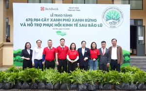 SeABank ghi dấu ấn tr&aacute;ch nhiệm x&atilde; hội tại Vietnam ESG Awards v&agrave; Tin D&ugrave;ng Việt Nam 2025 - Ảnh 4.