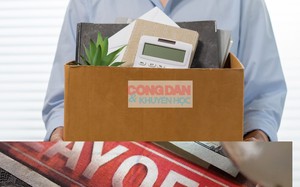 L&agrave;m g&igrave; trước l&agrave;n s&oacute;ng sa thải v&igrave; AI? - Ảnh 2.