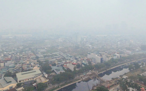 Máy lọc không khí không phải “thần dược” - Ảnh 6.