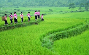 X&uacute;c tiến đầu tư Thanh Ho&aacute; 2026: Những "đại b&agrave;ng" n&agrave;o sẽ l&agrave;m tổ? - Ảnh 8.