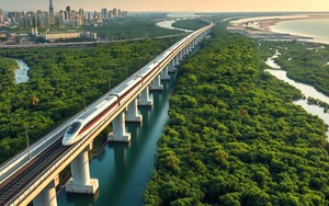 Chấp thuận VinSpeed, đường sắt Bến Thành - Cần Giờ có hẹn năm 2028 - Ảnh 1.