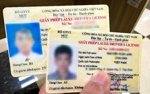Những trường hợp bị tước giấy ph&eacute;p l&aacute;i xe, chứng chỉ h&agrave;nh nghề theo Nghị định 168 - Ảnh 3.
