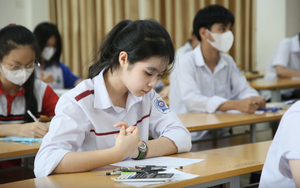 Hướng dẫn tuyển sinh đầu cấp tại Thành phố Hồ Chí Minh  - Ảnh 4.