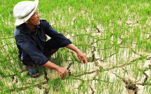 Thủ tướng yêu cầu hoàn thiện phương án ứng phó với thiên tai phù hợp với vận hành của chính quyền địa phương 2 cấp - Ảnh 5.