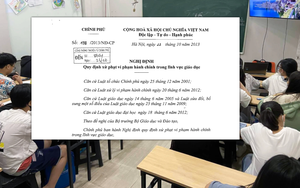 Thông tư quy định về dạy thêm chỉ giải quyết được phần ngọn? - Ảnh 4.