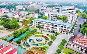 Phê duyệt Đề án sắp xếp, tinh gọn tổ chức bộ máy của 12 Trường Cao đẳng công lập tại Thành phố Hồ Chí Minh - Ảnh 2.