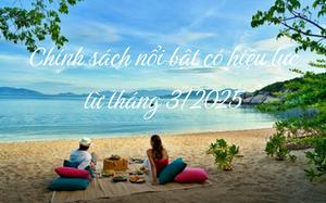 Những ch&iacute;nh s&aacute;ch kinh tế c&oacute; hiệu từ th&aacute;ng 8/2026 - Ảnh 2.