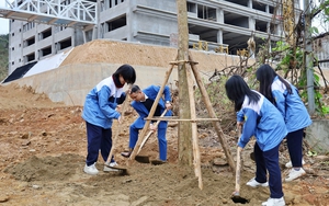 Thi cày ruộng đầu năm ở Quang Kim (Lào Cai) - Ảnh 24.