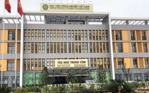 Trường Đại học Khoa học và Công nghệ Hà Nội công bố 3 phương thức tuyển sinh đợt 1 năm 2025 - Ảnh 2.