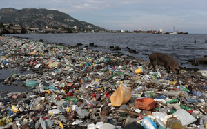 Cuộc thi Viết thư UPU 2026: Ban tổ chức sẽ hướng dẫn chủ đề tận nơi - Ảnh 2.