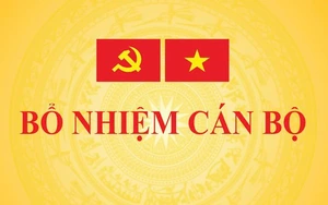 Lào Cai tạm dừng thực hiện các công trình, dự án trong quá trình thực hiện tinh gọn bộ máy - Ảnh 3.