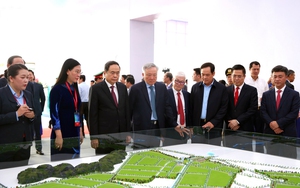 Quyết định thành lập Ban Quản lý các Khu chế xuất và công nghiệp Thành phố Hồ Chí Minh - Ảnh 4.