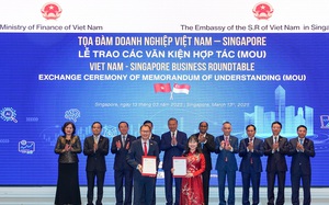 Trường Đại học VinUni và Bệnh viện Ung Bướu Hà Nội ký kết hợp đào tạo nhân lực y tế  - Ảnh 2.