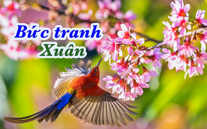 "Khúc hát miền trời" giúp học sinh "đọc là chơi, chơi mà học" - Ảnh 7.