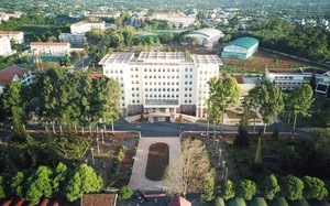 Chạm v&agrave;o m&ugrave;a đẹp nhất của Đ&agrave; Lạt từ Golden Sun Hotel - DaLat - Ảnh 5.