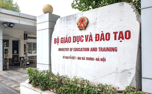 Những đơn vị sự nghiệp công lập nào trực thuộc Bộ Giáo dục và Đào tạo? - Ảnh 5.