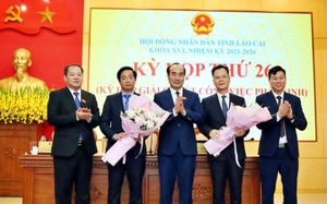Đề xuất Thành phố Hồ Chí Minh có không quá 8 Phó Chủ tịch Ủy ban nhân dân - Ảnh 3.