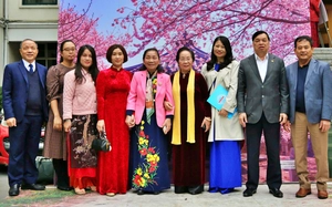Đông đảo người dân khắp nơi về thủ đô tham quan bảo tàng Lịch sử quân sự- Ảnh 5.