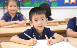 Học sinh tiểu học Việt Nam dẫn đầu Đông Nam Á về lĩnh vực toán, đọc hiểu và viết - Ảnh 2.