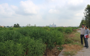 Giảm tiền thuê nhà đất cho một số đối tượng - Ảnh 3.