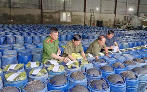 Nghệ An tạm dừng nghiên cứu xây dựng nghĩa trang sinh thái 5 không - Ảnh 2.