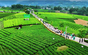 Thái Nguyên tại Triển lãm quốc gia 80 năm Quốc khánh: Hành trình tự hào và khát vọng vươn lên - Ảnh 6.
