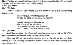 "Tự hào một dải non sông" - Đề Ngữ văn ấn tượng, giàu cảm xúc - Ảnh 4.