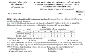 Đề kiểm tra khảo sát vào lớp 10 môn Tiếng Anh của Trường Trung học cơ sở và Trung học phổ thông Nguyễn Tất Thành - Ảnh 5.