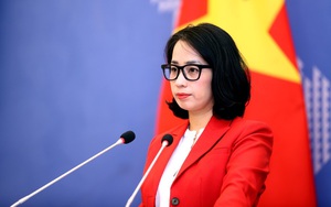 Bộ Ngoại giao Việt Nam: Hoa Kỳ hoãn áp thuế 90 ngày là bước đi tích cực - Ảnh 10.