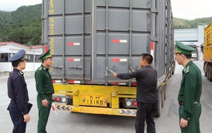 Phân luồng riêng ưu tiên vải tươi xuất khẩu qua cửa khẩu Kim Thành - Lào Cai - Ảnh 11.