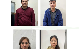 Khởi tố Tồng giám đốc Công ty trách nhiệm hữu hạn khoáng sản và luyện kim Việt - Trung và 7 bị can - Ảnh 6.