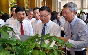 Ph&aacute;t triển n&ocirc;ng nghiệp h&agrave;ng h&oacute;a, dược liệu theo hướng xanh ở Lai Ch&acirc;u - Ảnh 4.