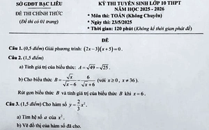 Đề thi thử tốt nghiệp trung học phổ thông môn Lịch sử của Hậu Giang - Ảnh 5.