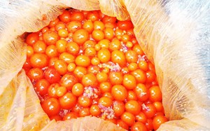 Lào Cai: Thu giữ 6,6 tấn giá đỗ ngâm ủ hóa chất độc hại- Ảnh 9.