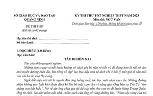 Gợi ý đáp án môn Tiếng Anh thi vào lớp 10 tại Đồng Nai - Ảnh 8.