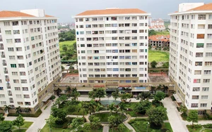 6 chính sách mới sẽ có hiệu lực từ tháng 6 cần chú ý- Ảnh 1.