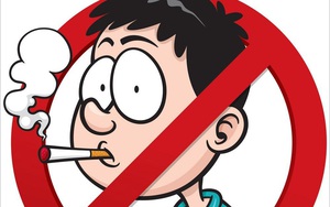 Hội thảo báo chí về Thuế thuốc lá và Phát triển bền vững - Ảnh 5.