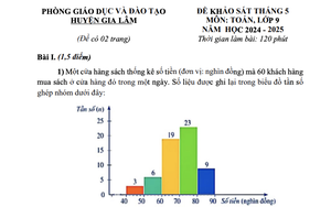 Đề khảo sát chất lượng lớp 9 môn Toán của Phòng Giáo dục và Đào tạo huyện Phúc Thọ - Ảnh 10.