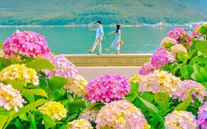 Hàn Quốc kích cầu du lịch với những biện pháp mới trước cao điểm tháng 10 - Ảnh 9.