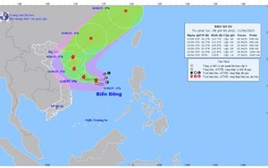 Vùng lũ khẩn trương phòng dịch bệnh theo khuyến cáo của Bộ Y tế - Ảnh 6.