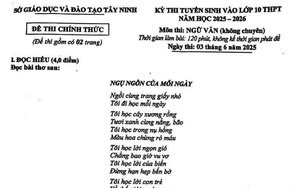 Sau mùa thi tuyển sinh lớp 10: Những nỗi niềm còn mãi - Ảnh 4.