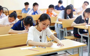 Phổ điểm thi vào lớp 10 Thành phố Hồ Chí Minh: Những khác biệt giữa hai Chương trình - Ảnh 4.