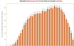 Thành phố Hồ Chí Minh công bố điểm chuẩn lớp 10 công lập - Ảnh 5.