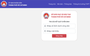 Thành phố Hồ Chí Minh công bố điểm chuẩn lớp 10 chuyên, tích hợp - Ảnh 3.
