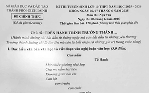 Đề Toán thi vào lớp 10 Hà Nội năm 2025 - Ảnh 3.