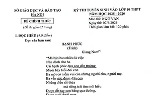 Gợi ý đáp án môn Ngữ văn thi vào lớp 10 tại Hà Nội năm 2025- Ảnh 3.